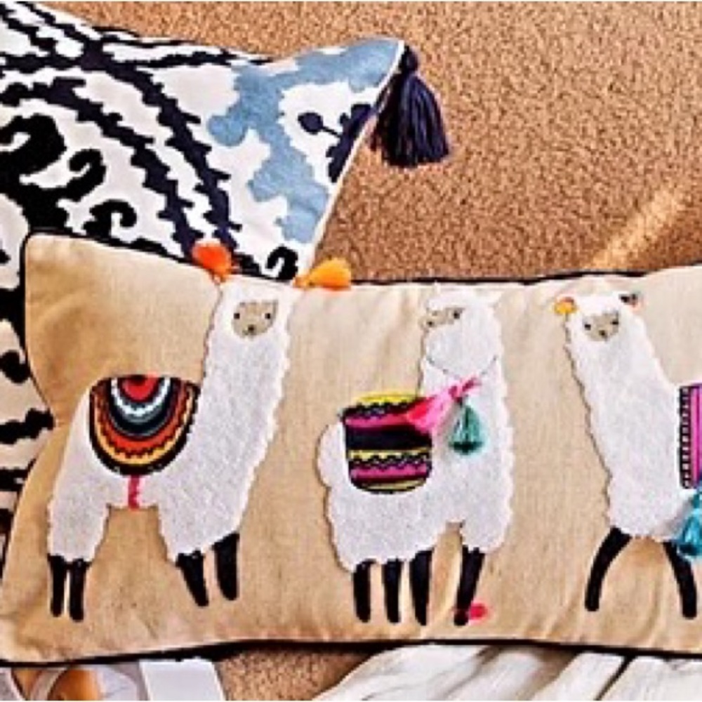 Nice throw pillow’scover 2 for $25